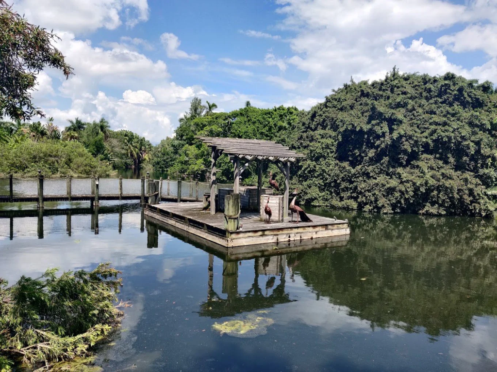 Palm-Beach-Zoo-Conservation-Society